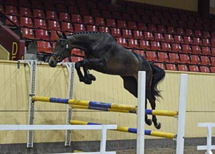 Fredrika hopp1