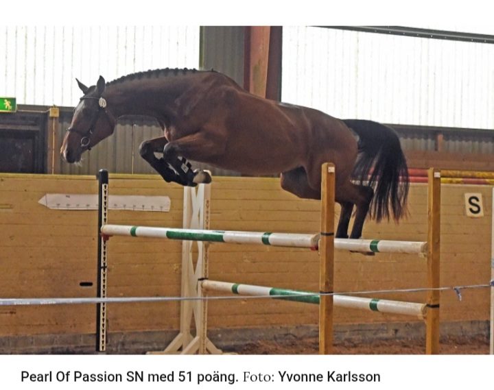 Pearl of Passion hopp 3ar
