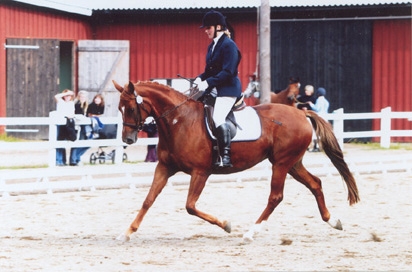 Selection5ar
